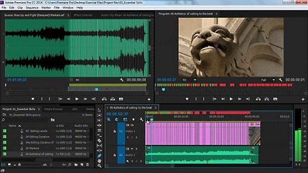 Lynda - Premiere Pro Guru: Cutting with Music with Abba Shapiro