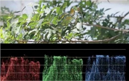 Mastering Colour Grading In After Effects with Christopher Kenworthy