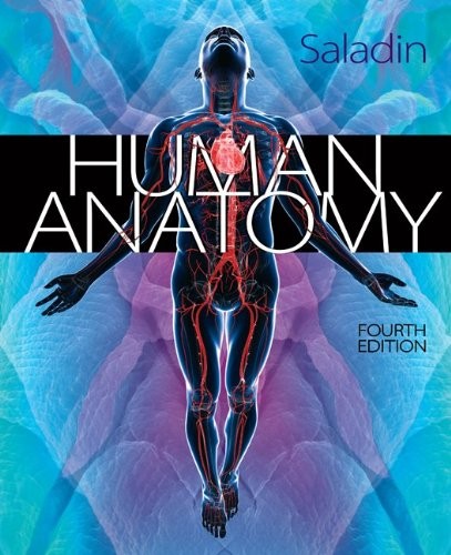 Human Anatomy by Kenneth Saladin, 4th Edition