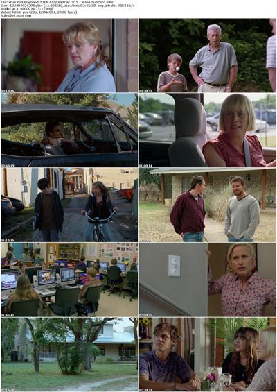 Boyhood 2014 720p BluRay DD5 1 x264-SubZero