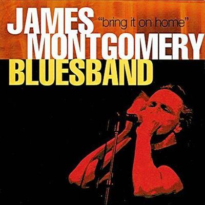 James Montgomery Bluesband - Bring It On Home (2001) 320 kbps