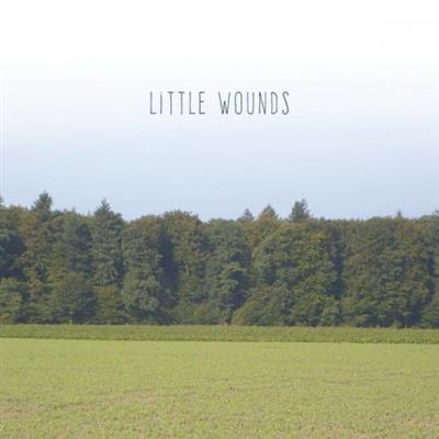 Bobby Barnett - Little Wounds (2014)