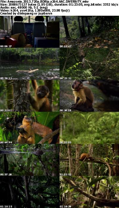 Amazonia (2013) 720p BDRip AAC x264 - DiVERSiTY Amazonia (2013) 720p BDRip AAC x264 - DiVERSiTY