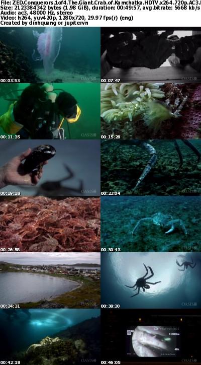 ZED - Conquerors 1of4 The Giant Crab of Kamchatka (2013) HDTV 720p AC3 x264 - MVGroup ZED - Conquerors 1of4 The Giant Crab of Kamchatka (2013) HDTV 720p AC3 x264 - MVGroup