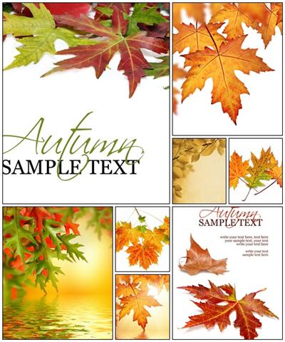 Fall background with colorful autumn leaves - Stock Photo