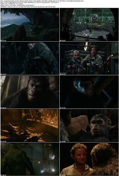 Dawn of The Planet of The Apes (2014) BluRay REMUX 1080p AVC DTS-HD MA7 1 RoSubbed-playBD Dawn of The Planet of The Apes (2014) BluRay REMUX 1080p AVC DTS-HD MA7 1 RoSubbed-playBD