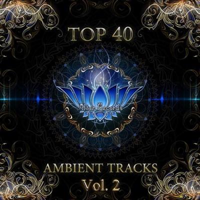VA - Top 40 Ambient Tracks Vol.2 (2014)
