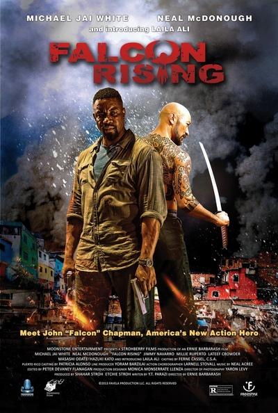Falcon Rising (2014) 720p BrRip x264 - Ganool