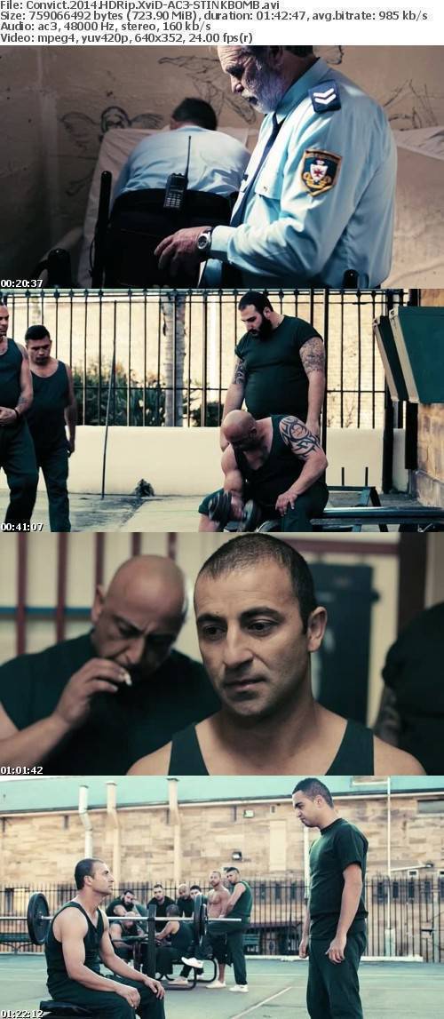 Convict 2014 HDRip XviD-AC3-STINKBOMB Convict 2014 HDRip XviD-AC3-STINKBOMB