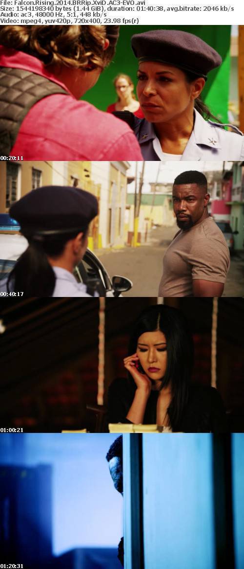 Falcon Rising (2014) BRRip XviD AC3-EVO