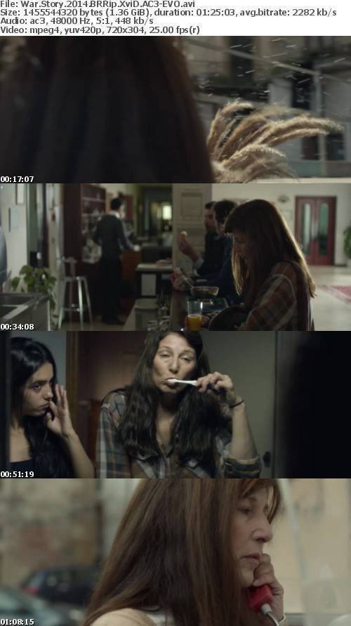 War Story (2014) BRRip XviD AC3-EVO