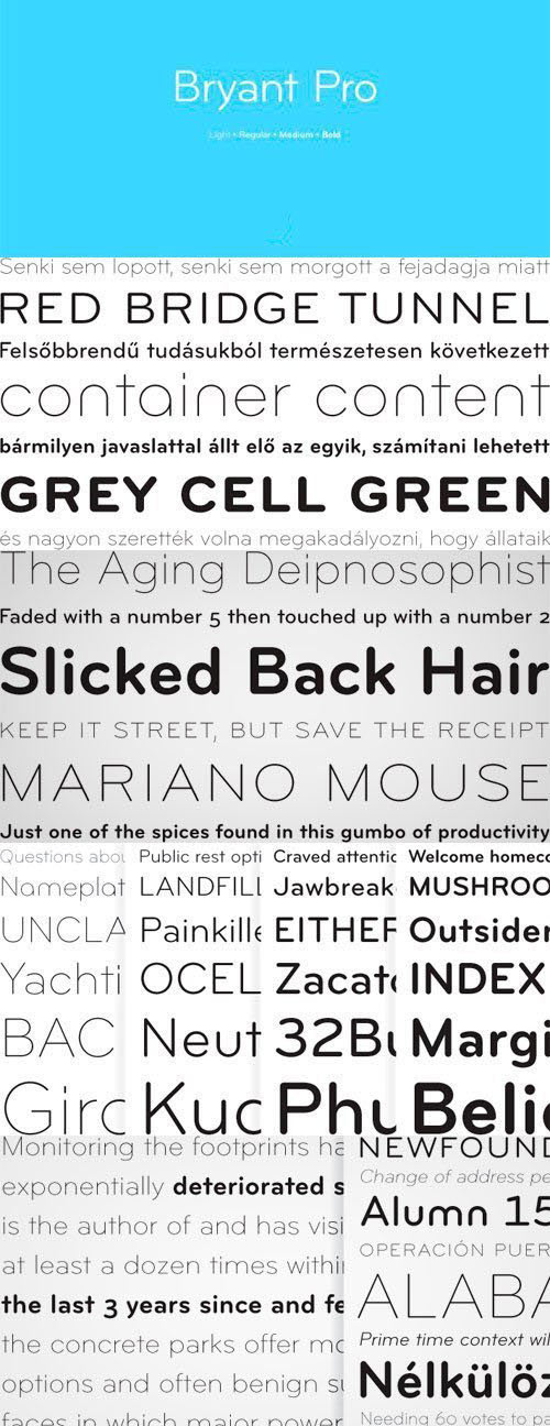 Bryant Pro Font Family - 12 Fonts