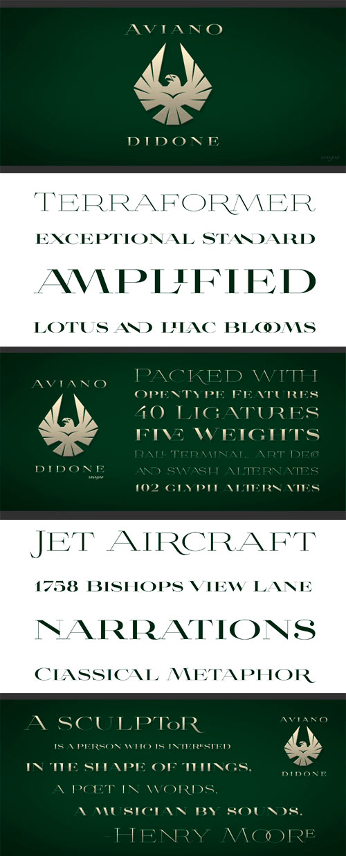 Aviano Didone Font Family - 5 Fonts