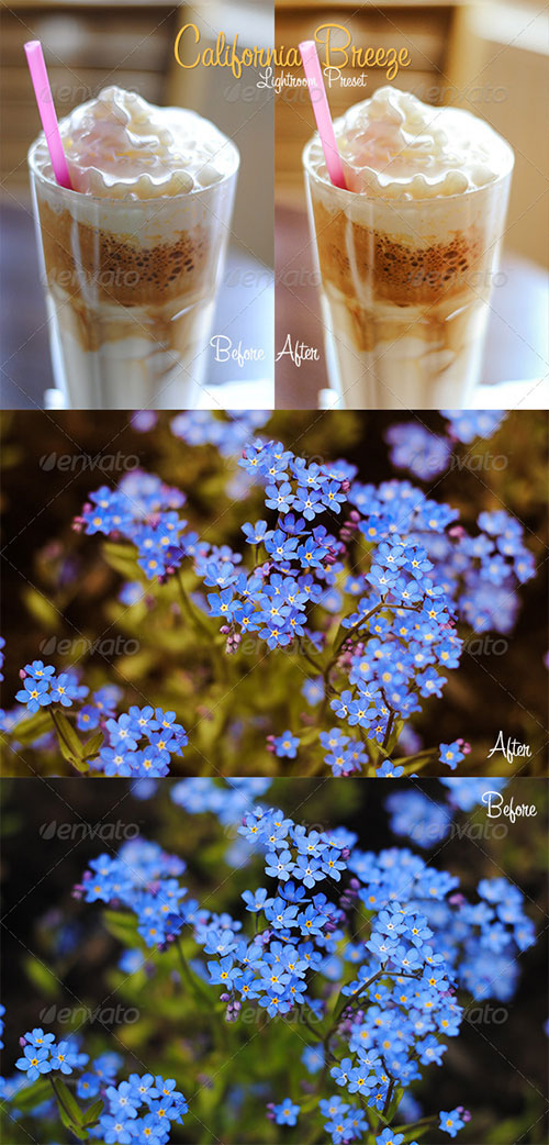 California Breeze - Lightroom Preset
