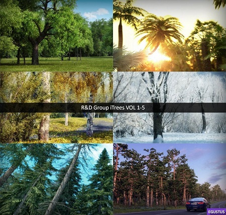 R&D Group iTrees VOL 1-5 R&D Group iTrees VOL 1-5