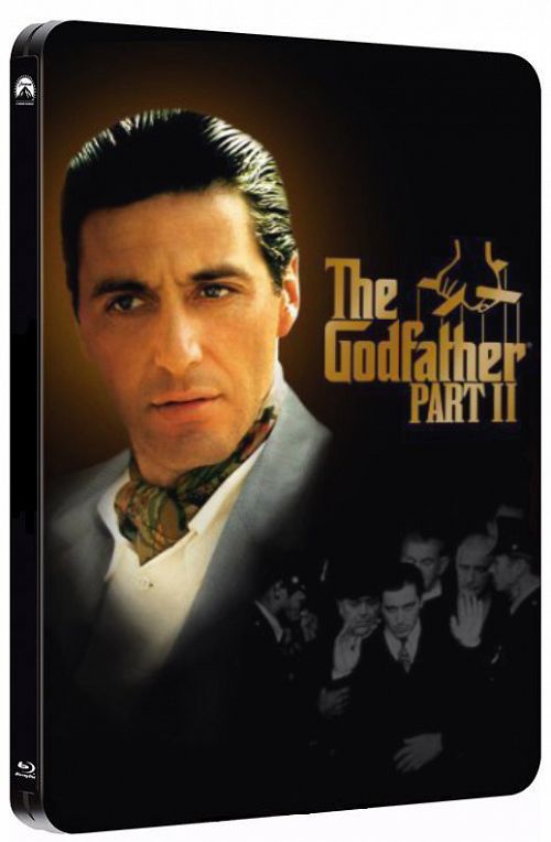 The Godfather 2 (1974) [BRRip 480p] [Hindi-Eng] [Dual Audio]