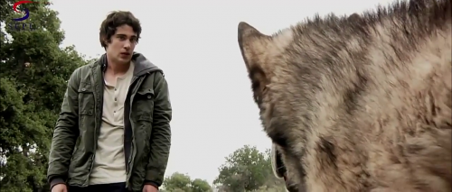 Wolf Town 2011 Hindi Dubbed HDRip 480p 300mb Wolf Town 2011 Hindi Dubbed HDRip 480p 300mb
