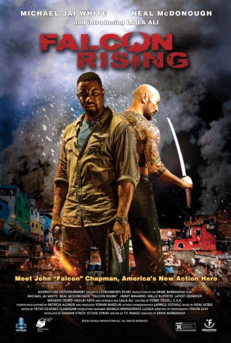 Falcon Rising 2014 1080p BluRay x264 DTS-RARBG