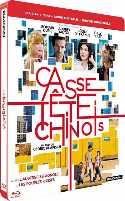 Chinese Puzzle 2013 480p BRRip x264-mSD