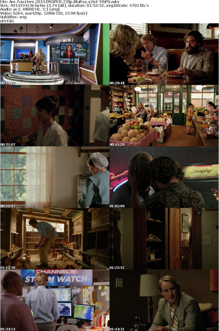 Are You Here 2013 PROPER 720p BluRay x264-TRiPS
