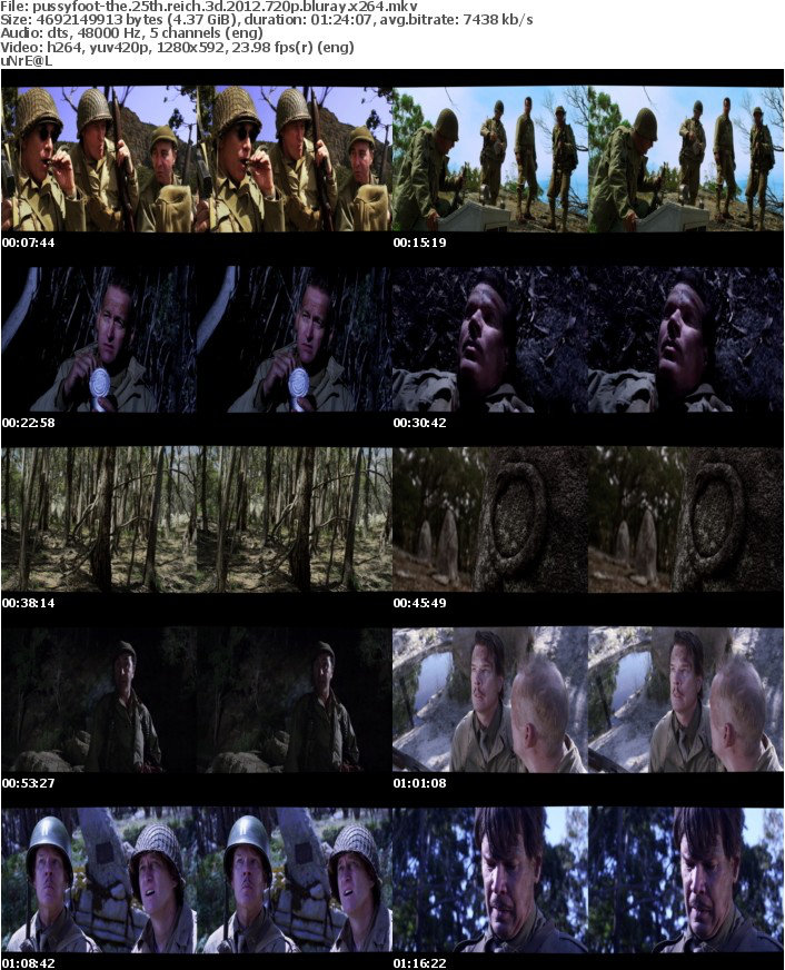 The 25th Reich 3D 2012 720p BluRay x264-PussyFoot The 25th Reich 3D 2012 720p BluRay x264-PussyFoot