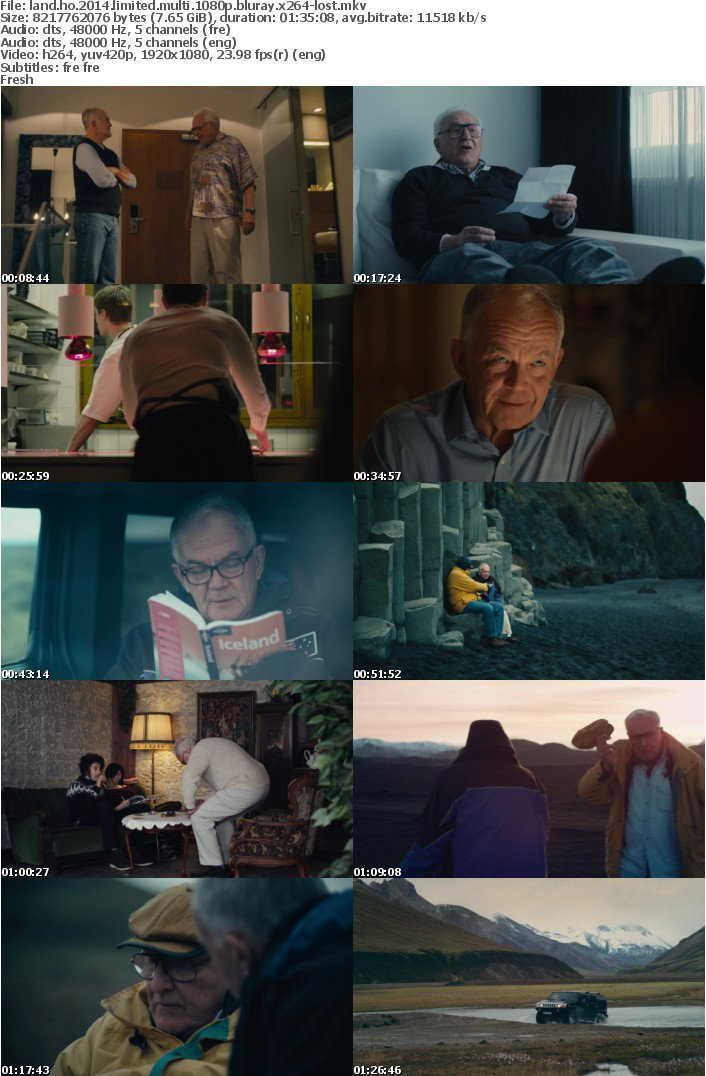 Land Ho 2014 LIMITED MULTi 1080p BluRay x264-LOST