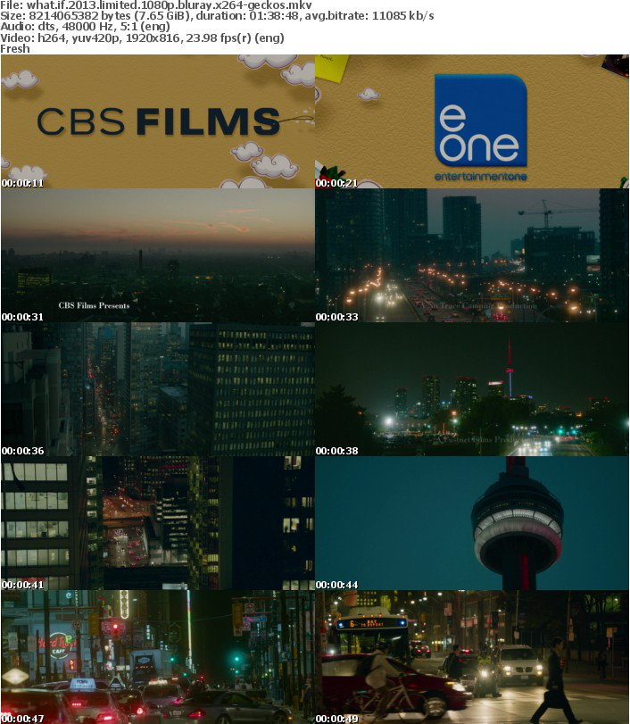 What If 2013 LIMITED 1080p BluRay x264-GECKOS What If 2013 LIMITED 1080p BluRay x264-GECKOS